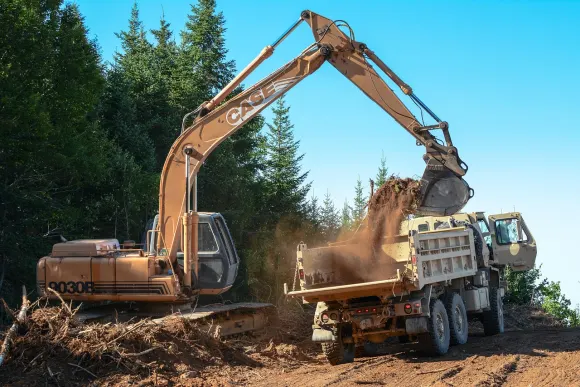 Wombet Kaszinó Támogatás